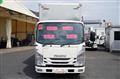 2017 Isuzu Elf Truck