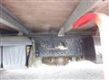 2007 Isuzu Elf Truck