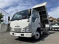 2019 Isuzu Elf Truck