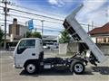 2019 Isuzu Elf Truck