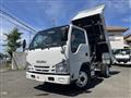 2019 Isuzu Elf Truck
