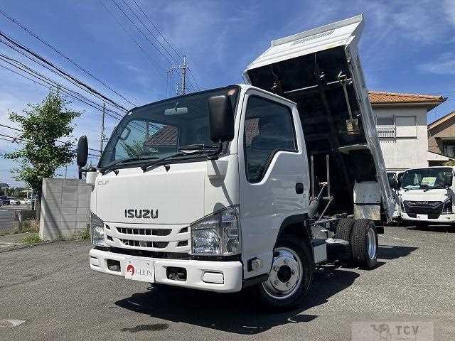 2019 Isuzu Elf Truck