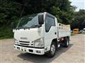 2020 Isuzu Elf Truck