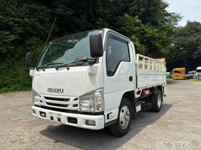 2020 Isuzu Elf Truck