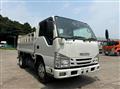 2020 Isuzu Elf Truck