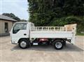 2020 Isuzu Elf Truck