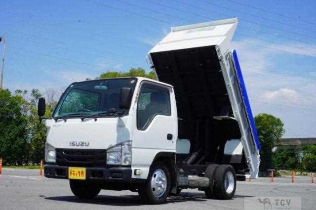 2018 Isuzu Elf Truck