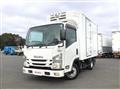 2020 Isuzu Elf Truck