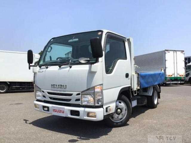 2020 Isuzu Elf Truck