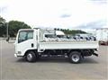 2020 Isuzu Elf Truck