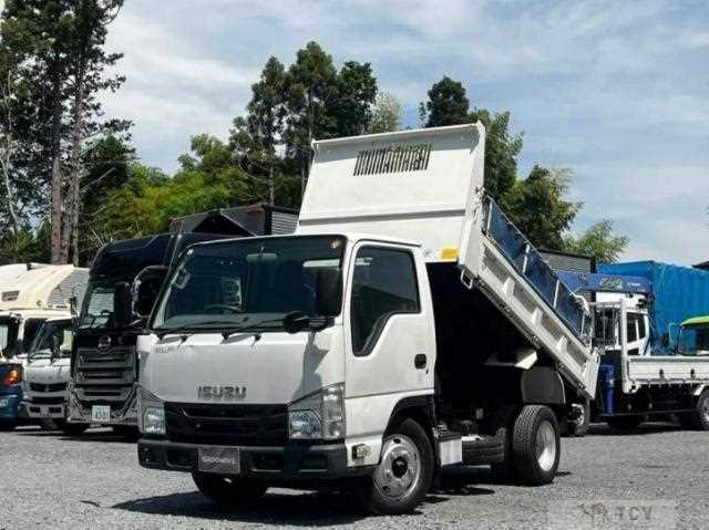 2019 Isuzu Elf Truck