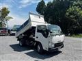 2019 Isuzu Elf Truck