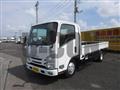 2019 Isuzu Elf Truck