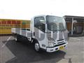 2019 Isuzu Elf Truck
