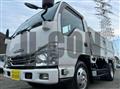2019 Isuzu Elf Truck