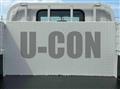 2019 Isuzu Elf Truck