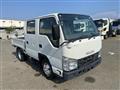 2019 Isuzu Elf Truck