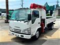 2018 Isuzu Elf Truck