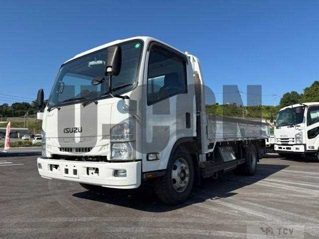 2020 Isuzu Elf Truck