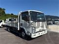 2020 Isuzu Elf Truck