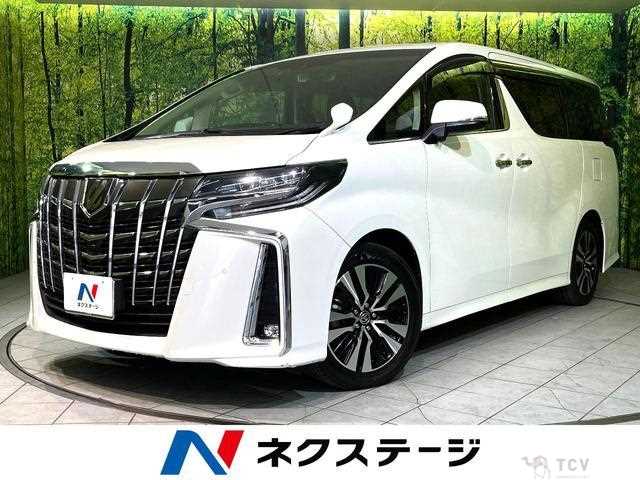 2019 Toyota Alphard G