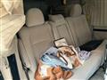 2012 Toyota Vellfire