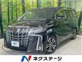 2019 Toyota Alphard G