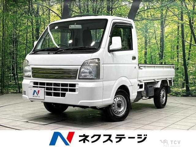 2018 Suzuki Carry Truck
