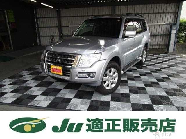 2017 Mitsubishi Pajero