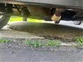 2005 Nissan Cube