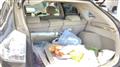 2004 Toyota Harrier