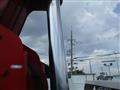 2017 Isuzu Elf Truck
