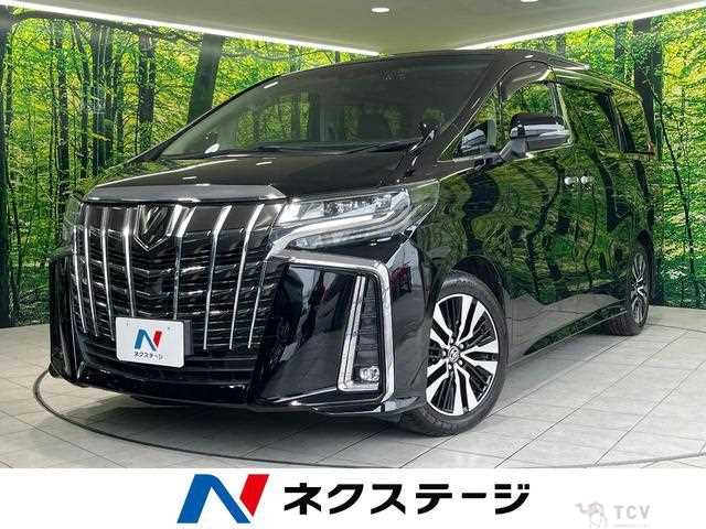 2019 Toyota Alphard G