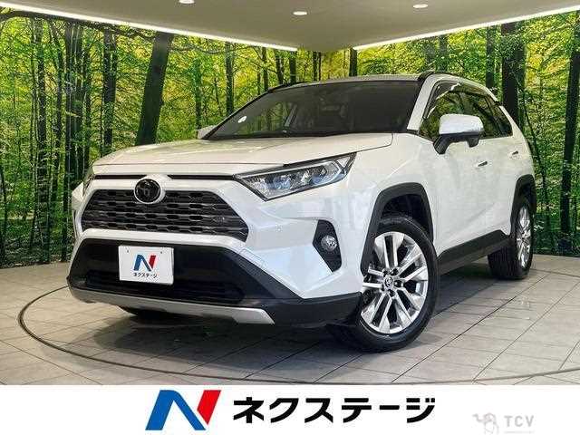 2020 Toyota RAV4