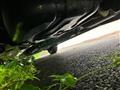 2011 Suzuki Lapin