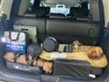 2011 Nissan Elgrand
