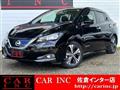 2019 Nissan Leaf