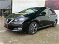 2019 Nissan Leaf