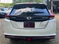 2019 Nissan Leaf