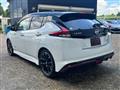 2019 Nissan Leaf