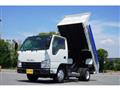 2018 Isuzu Elf Truck