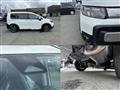 2026 Honda Freed