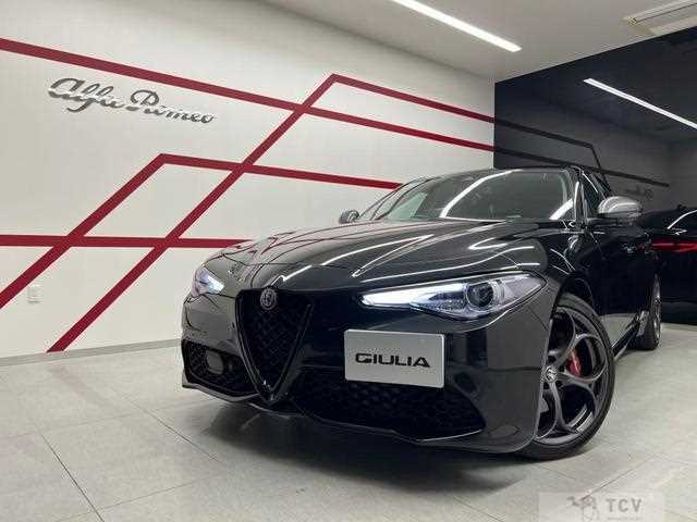 2020 Alfa Romeo Alfa Romeo Others