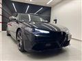 2020 Alfa Romeo Alfa Romeo Others