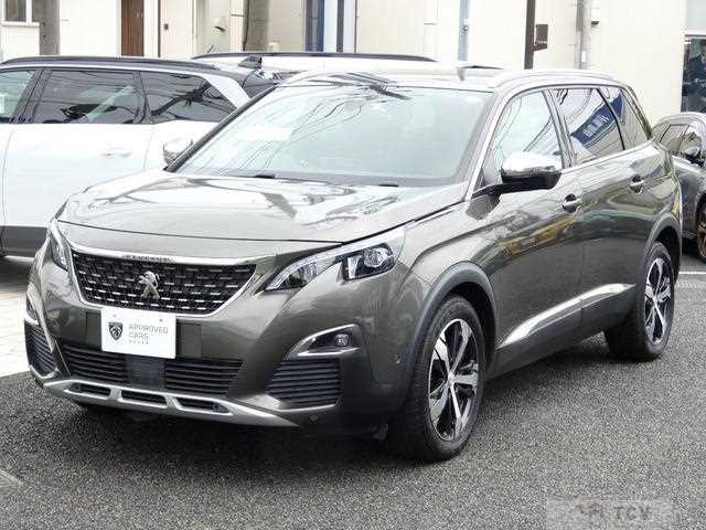 2019 Peugeot Peugoet Others