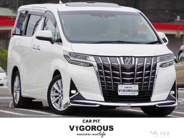 2019 Toyota Alphard G