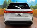 2025 Lexus RX