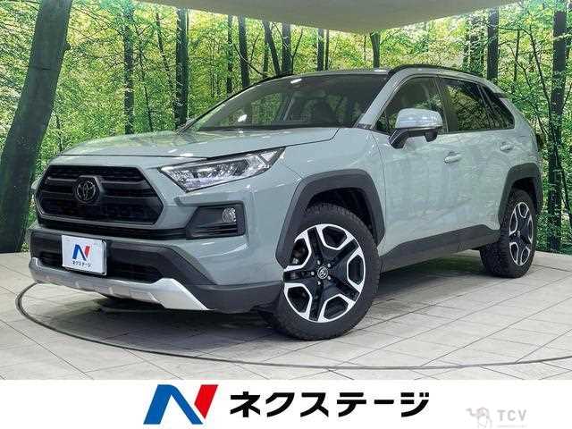 2019 Toyota RAV4