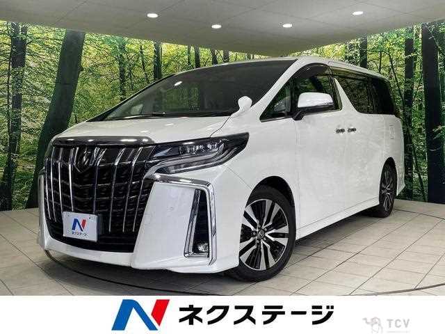 2019 Toyota Alphard G