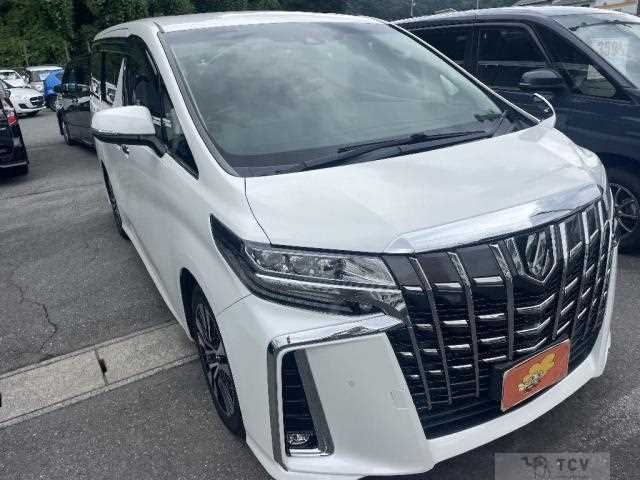 2019 Toyota Alphard G
